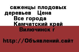 саженцы плодовых деревьев › Цена ­ 6 080 - Все города  »    . Камчатский край,Вилючинск г.